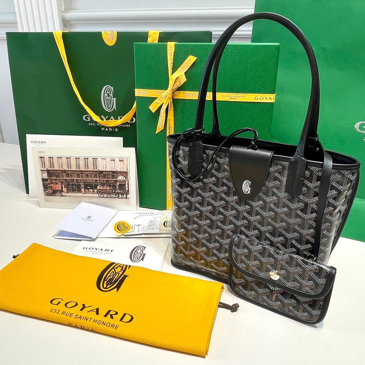 GOYA MINI ANJOU BAG