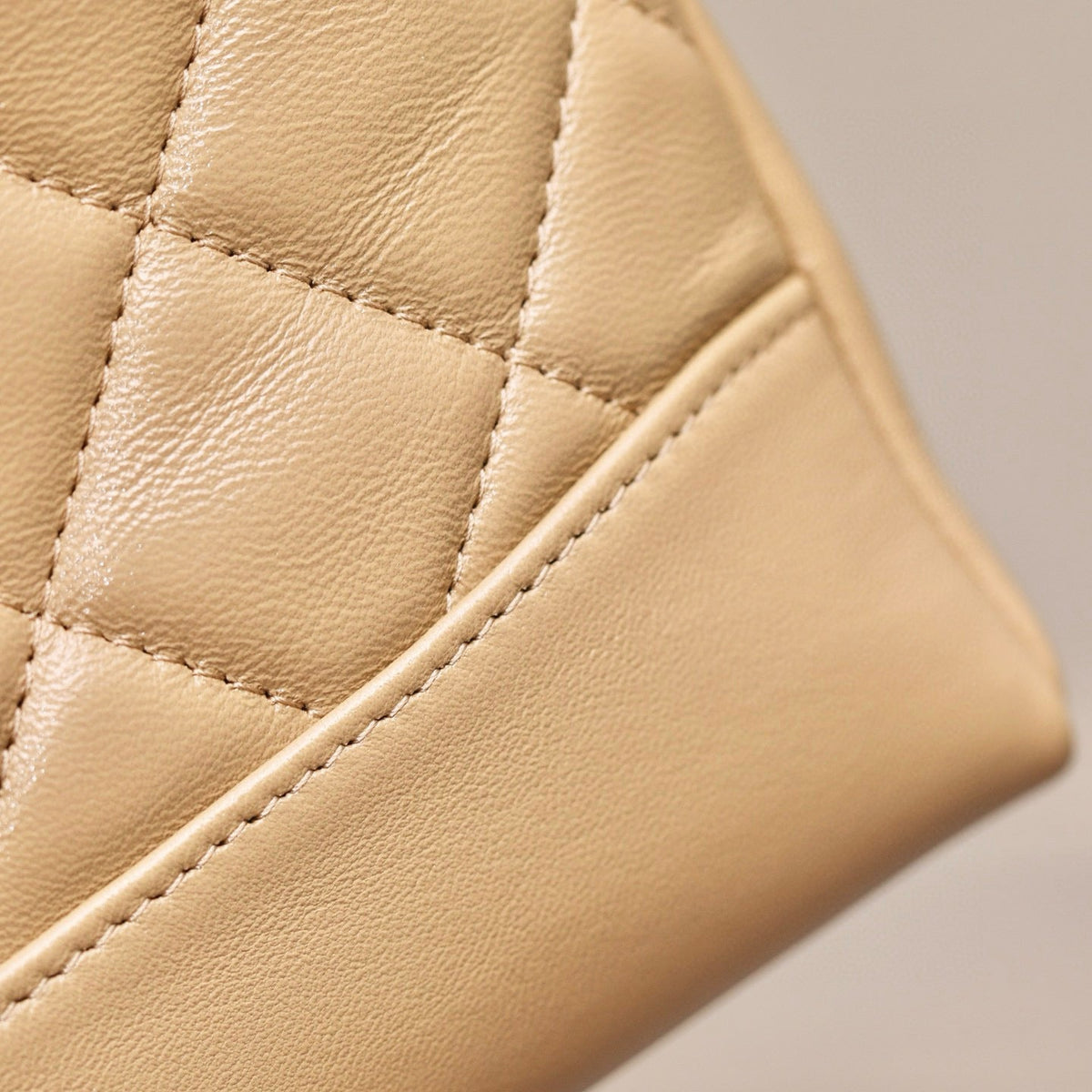 CC 31NANO BAG