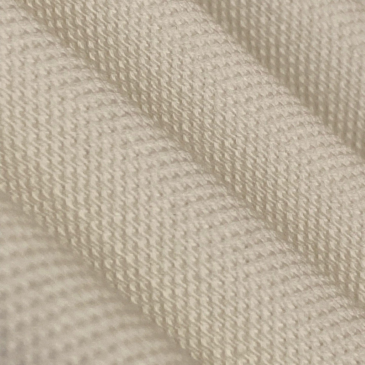 BBR POLO