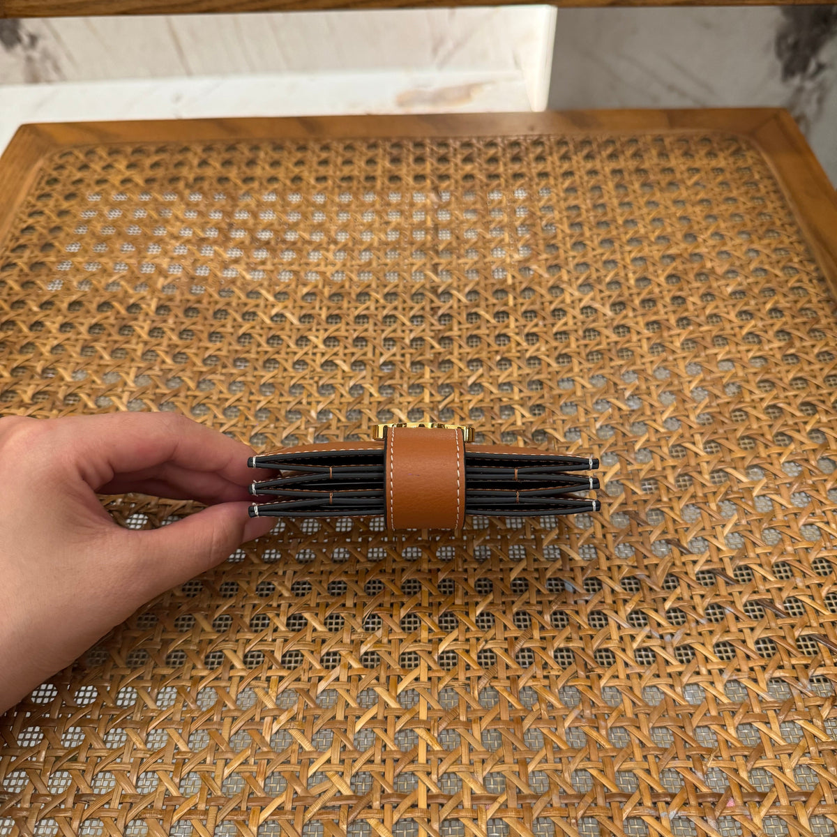 CEL ACCORDEON CARD HOLDER