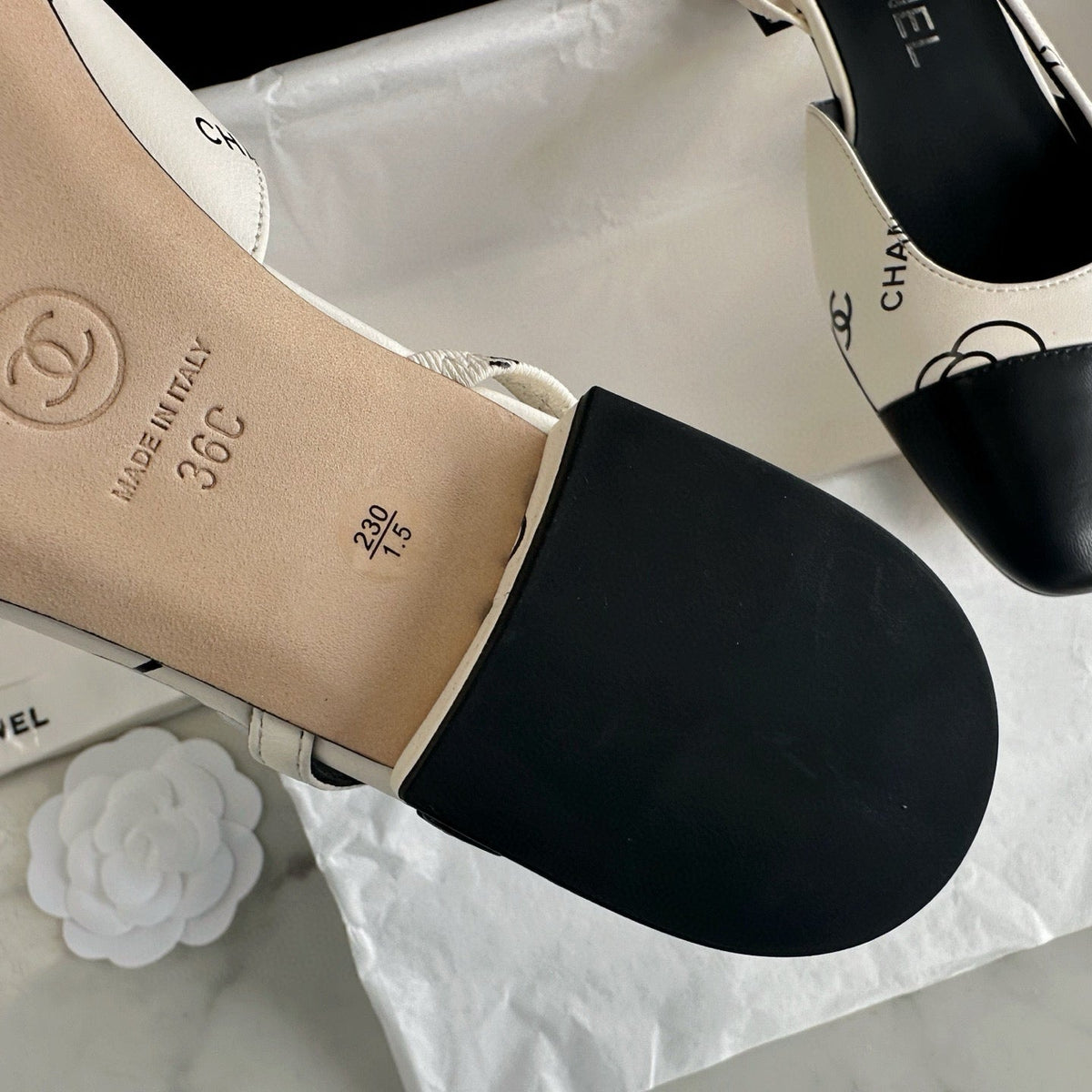 CC SLINGBACK