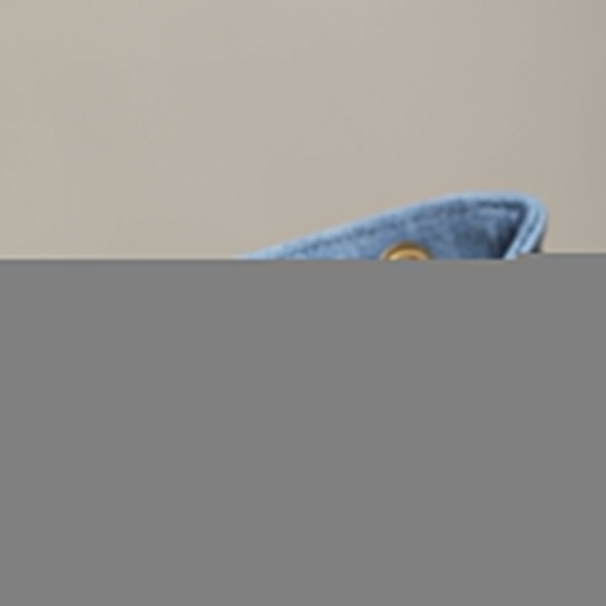 CC 25 DENIM BACKPACK