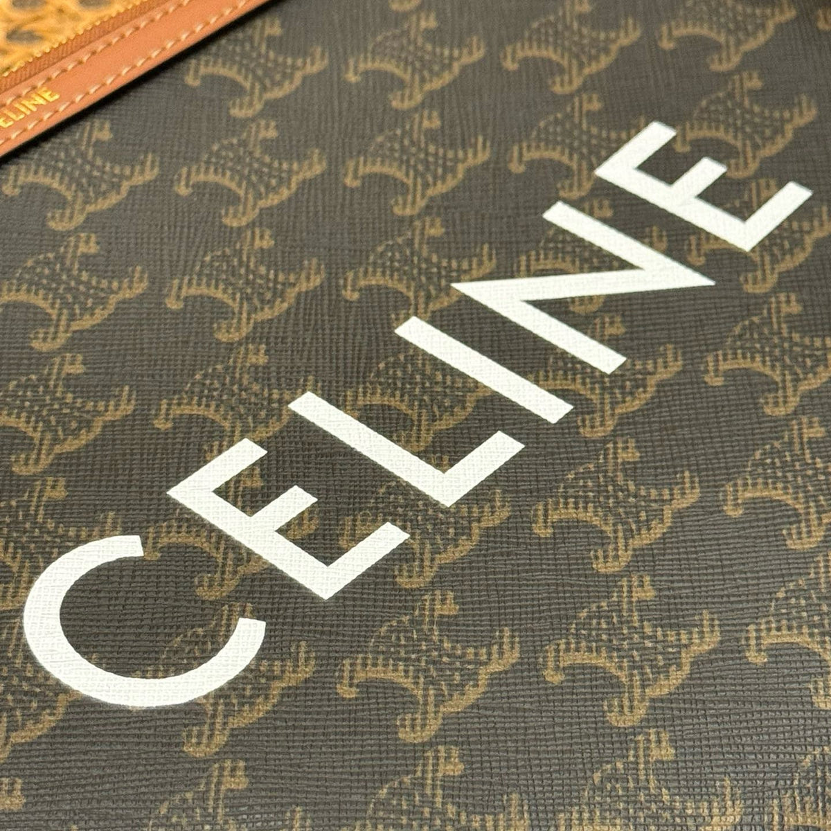 CEL SMALL POUCH WITH STRAP