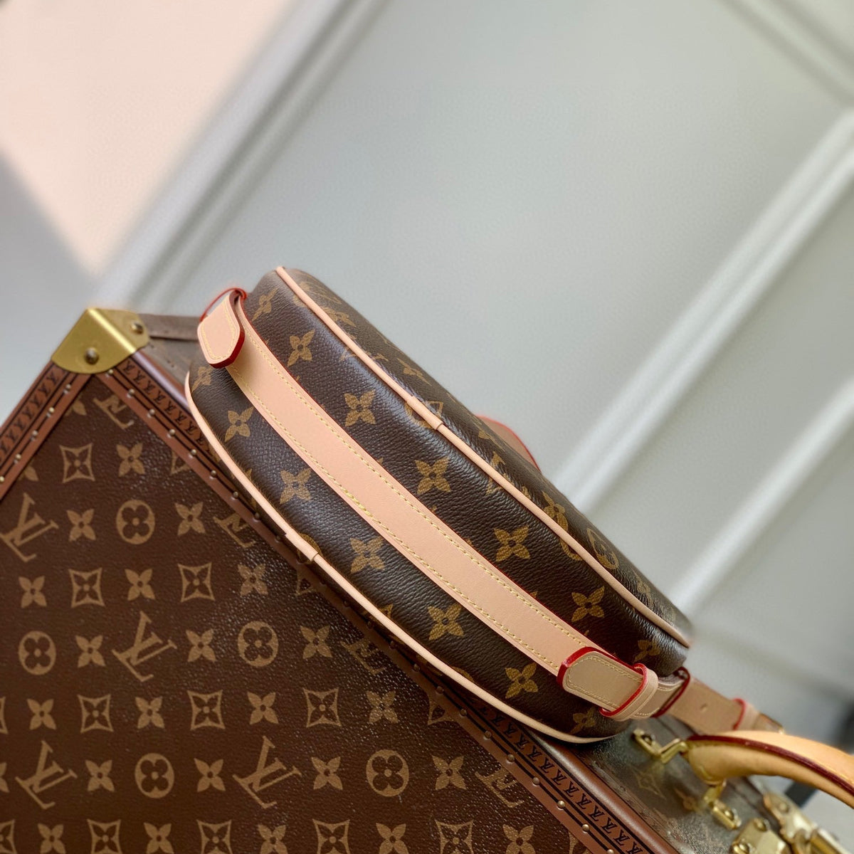 LOU CROISSANT MM BAG