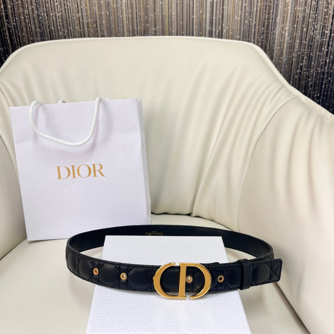 CD BELT