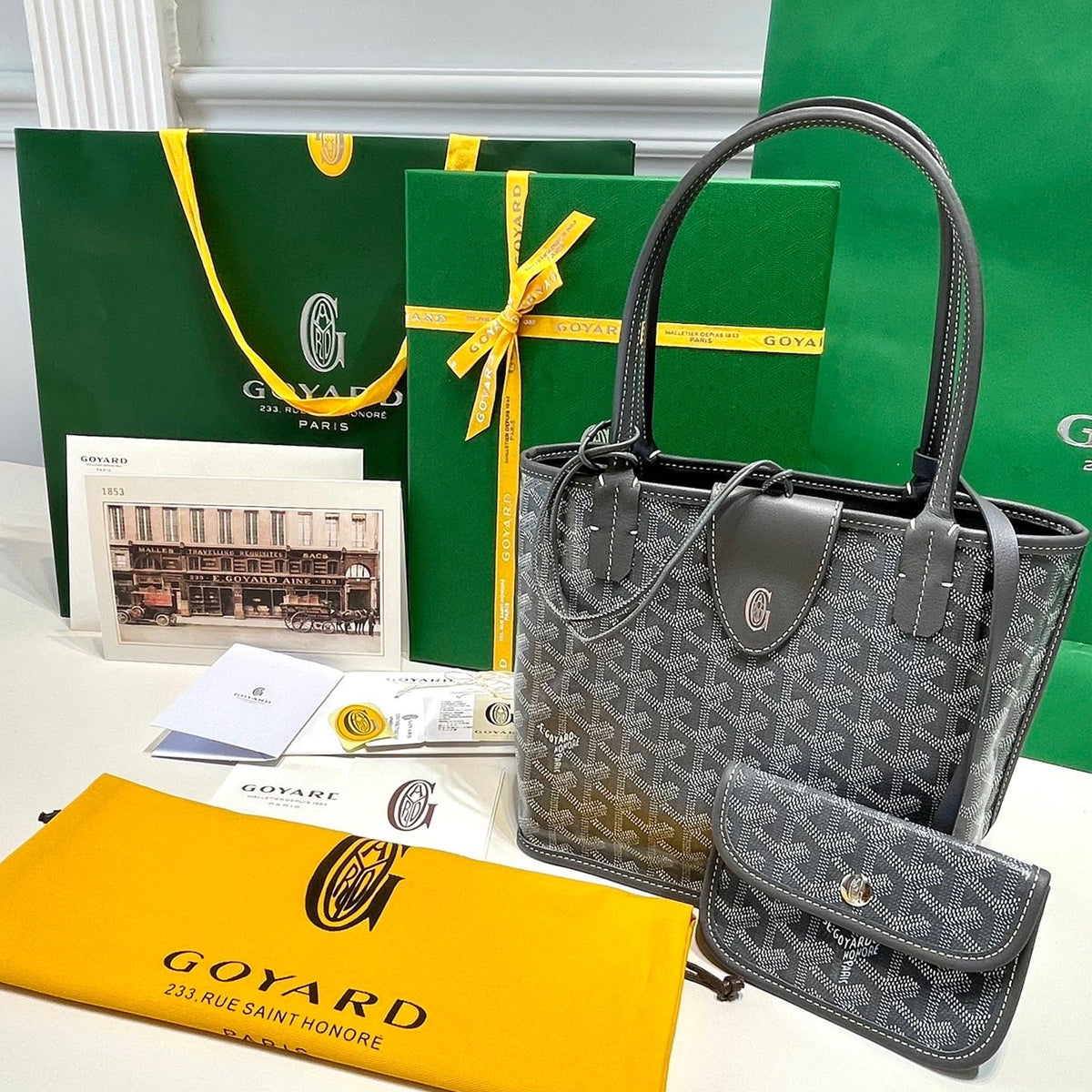 GOYA MINI ANJOU BAG