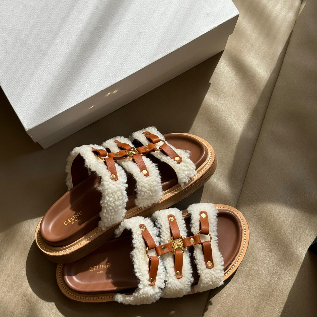CEL SLIDES