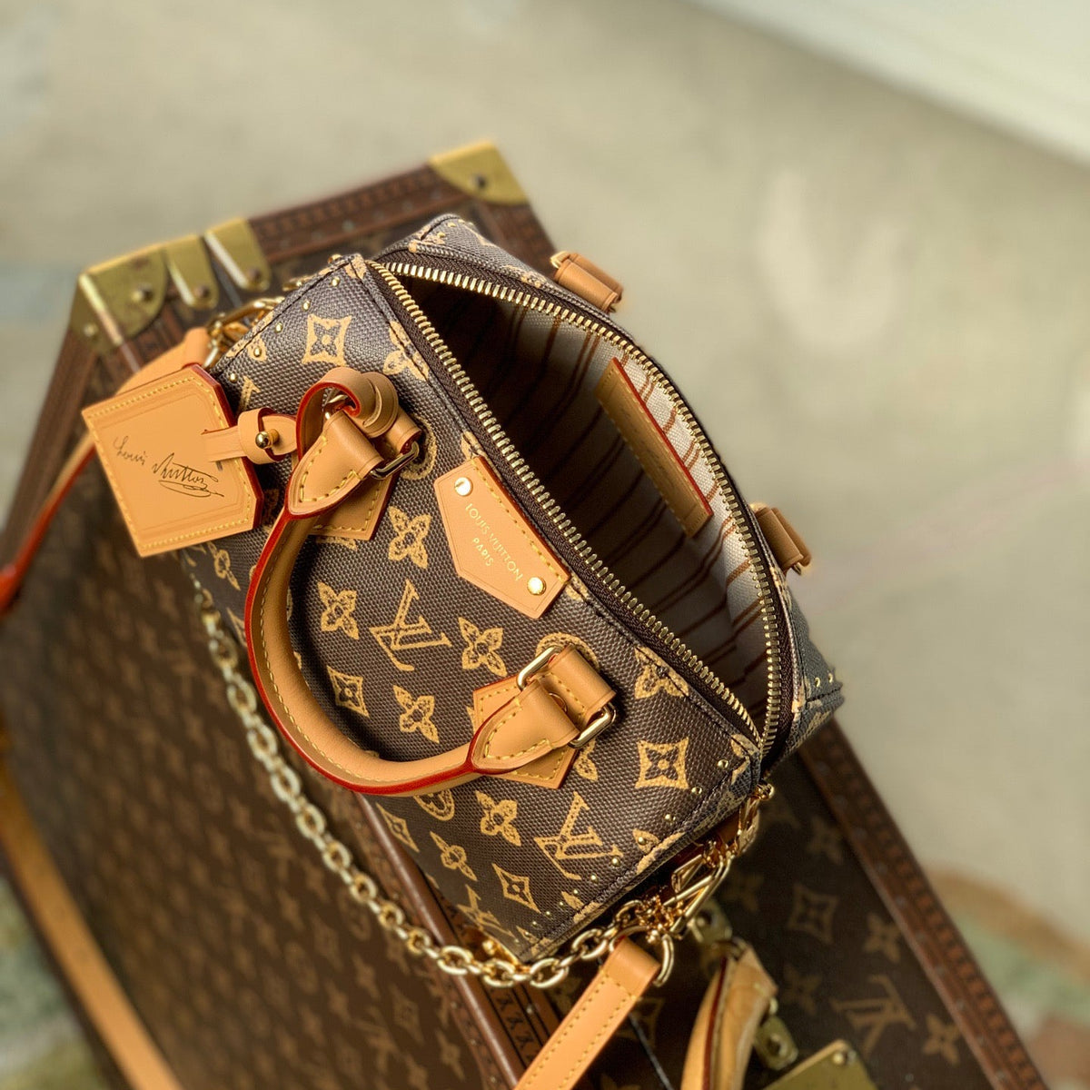 LOU SPEEDY TRUNK 20 BAG