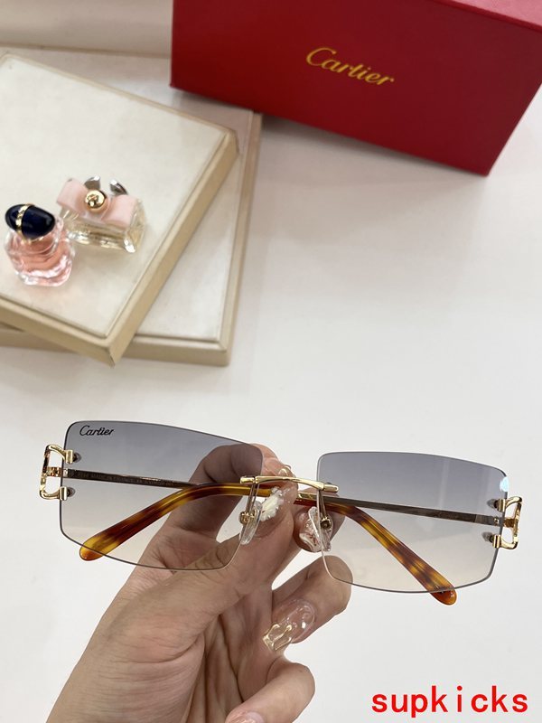 Cartier Luxury Sunglasses