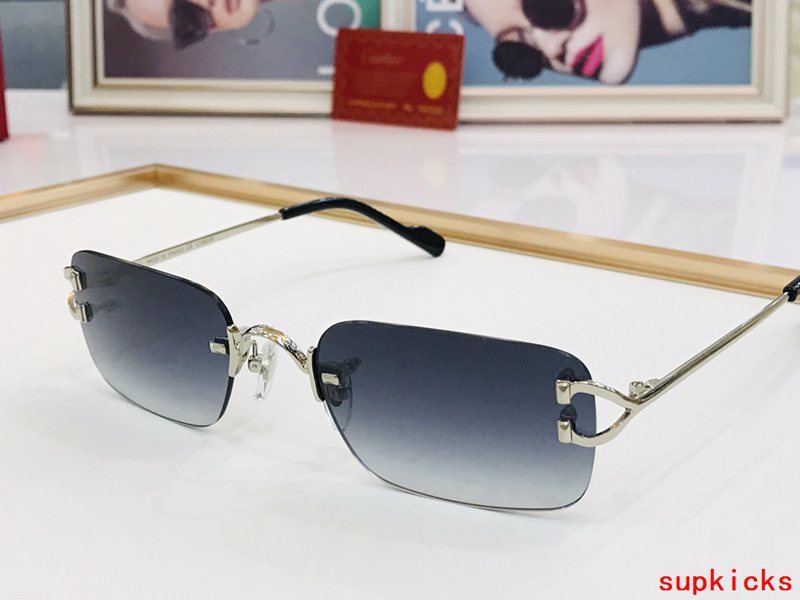 Cartier Luxury Sunglasses