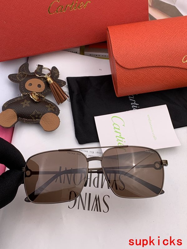 Cartier Luxury Sunglasses