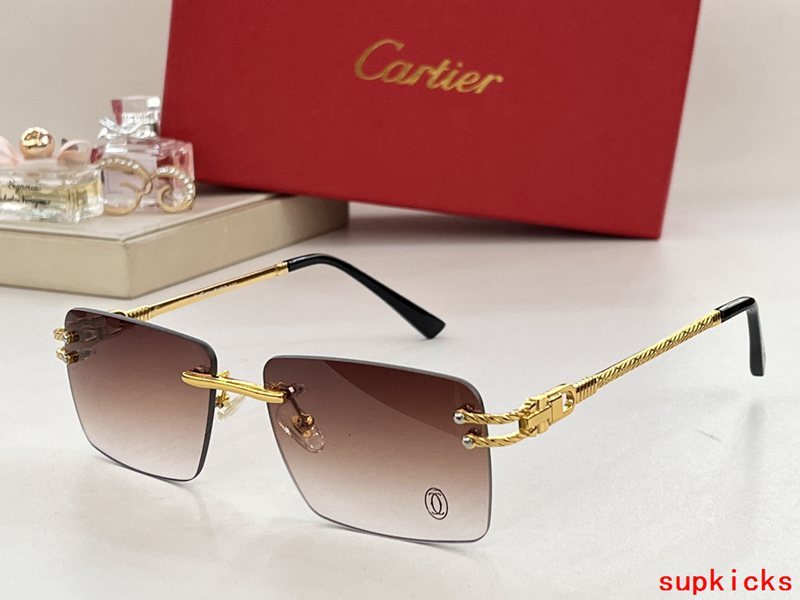 Cartier Luxury Sunglasses