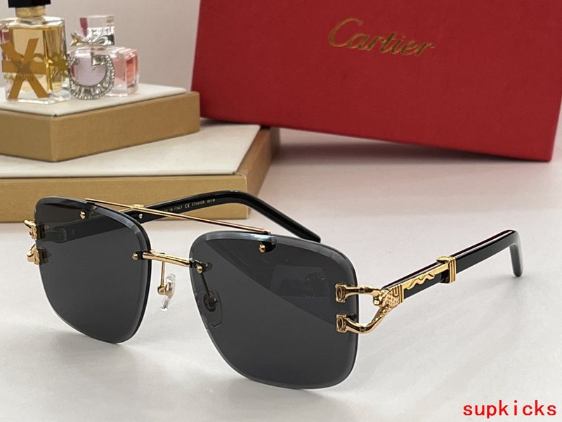 Cartier Luxury Sunglasses