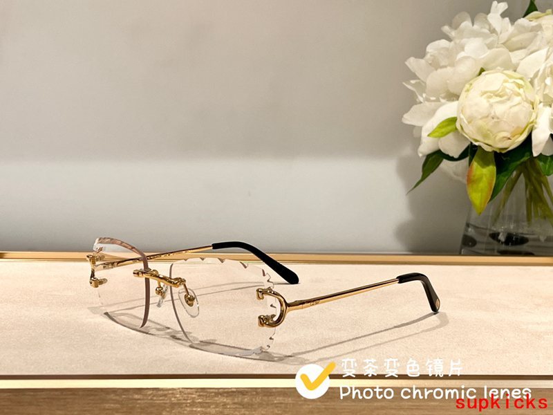 Cartier Luxury Sunglasses