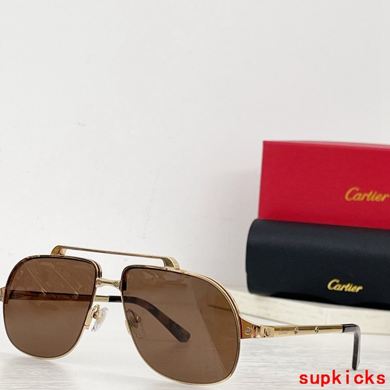 Cartier Luxury Sunglasses