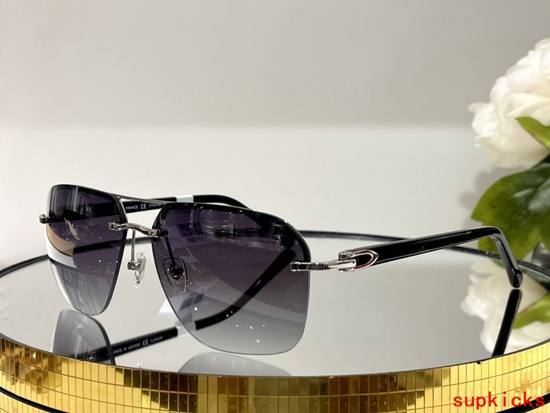 Cartier Luxury Sunglasses