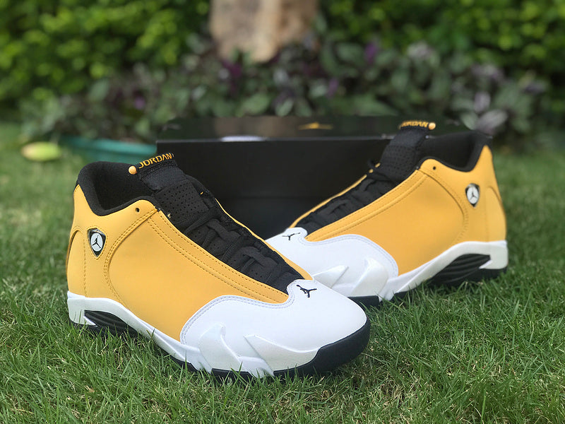 Nike Luxury Shoes