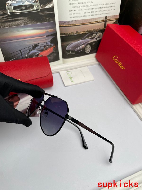 Cartier Luxury Sunglasses