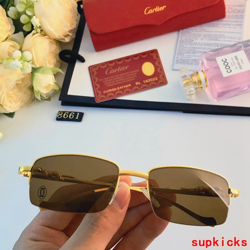 Cartier Luxury Sunglasses
