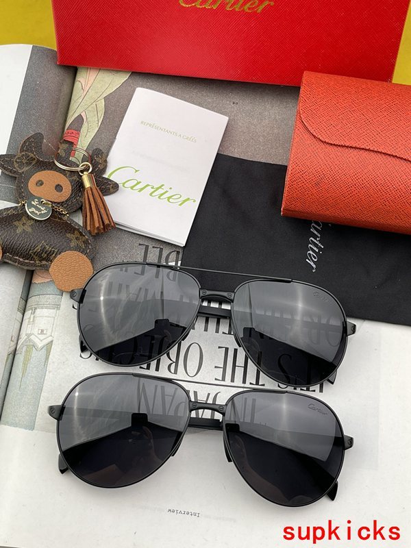 Cartier Luxury Sunglasses
