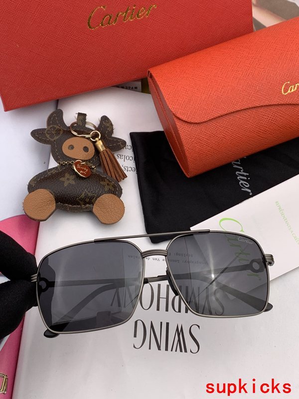 Cartier Luxury Sunglasses