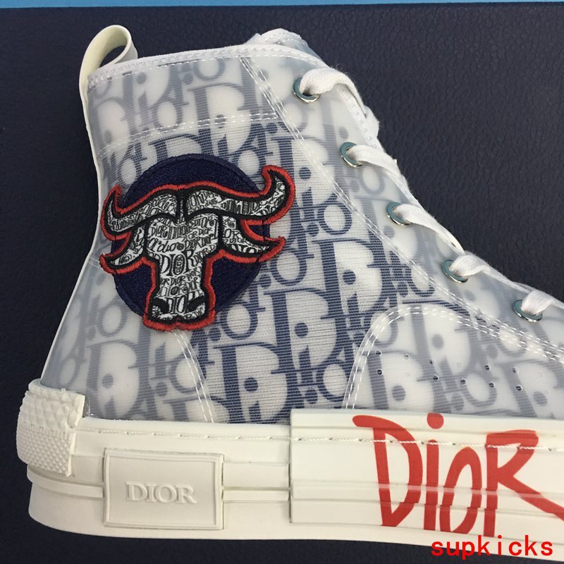Dior Luxury Shoes