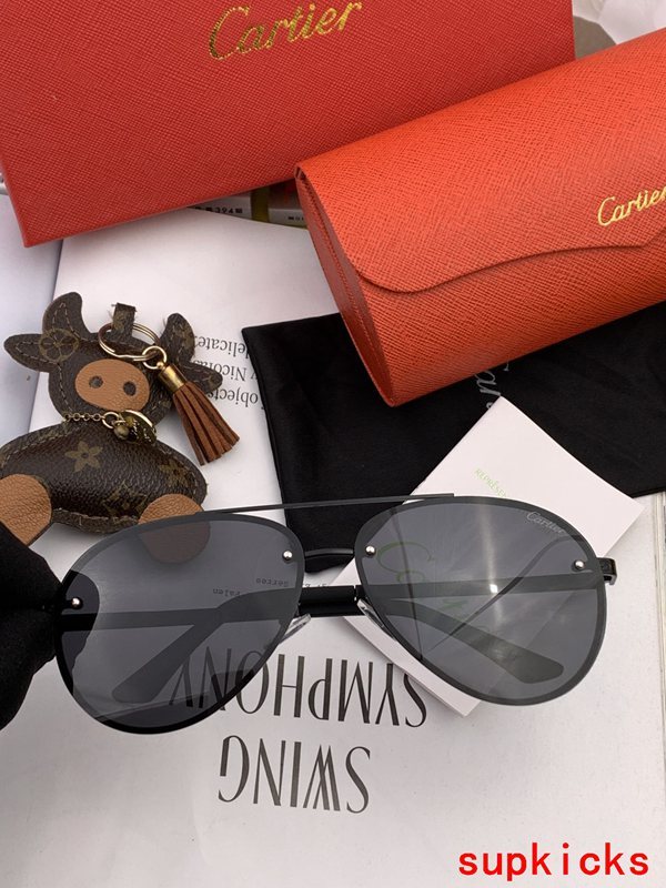 Cartier Luxury Sunglasses