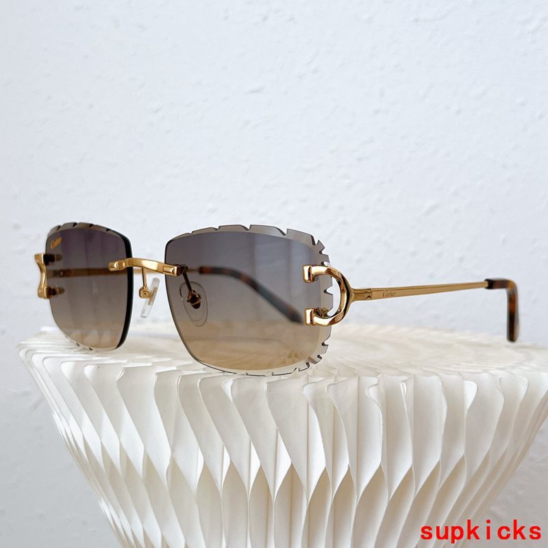 Cartier Luxury Sunglasses