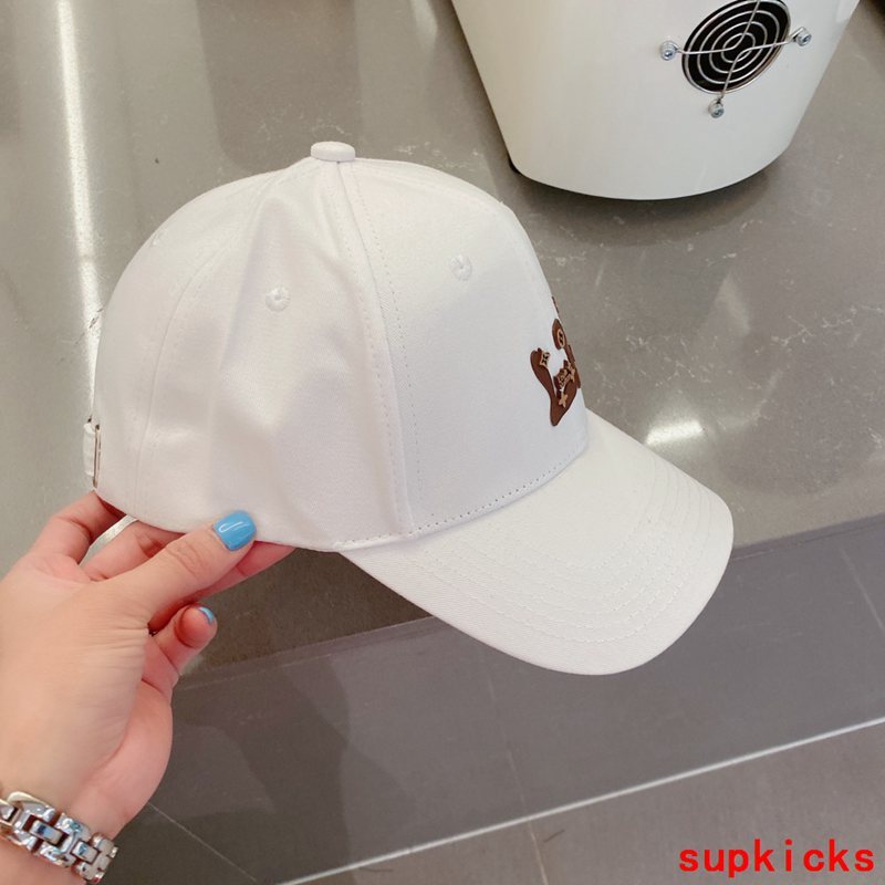 Louis Vuitton Luxury Cap