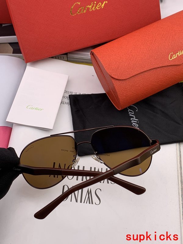 Cartier Luxury Sunglasses