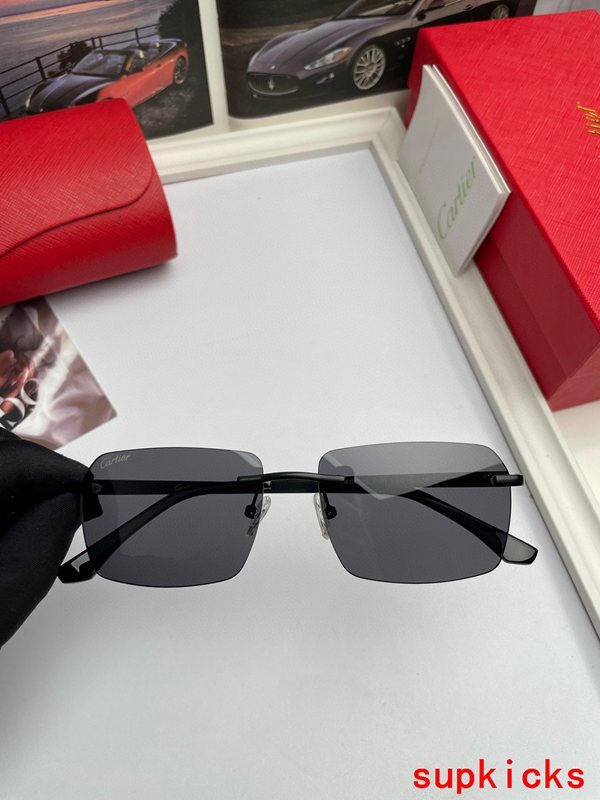 Cartier Luxury Sunglasses