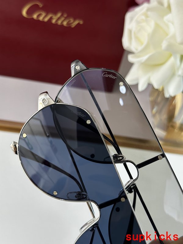 Cartier Luxury Sunglasses