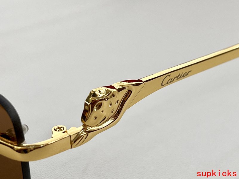 Cartier Luxury Sunglasses