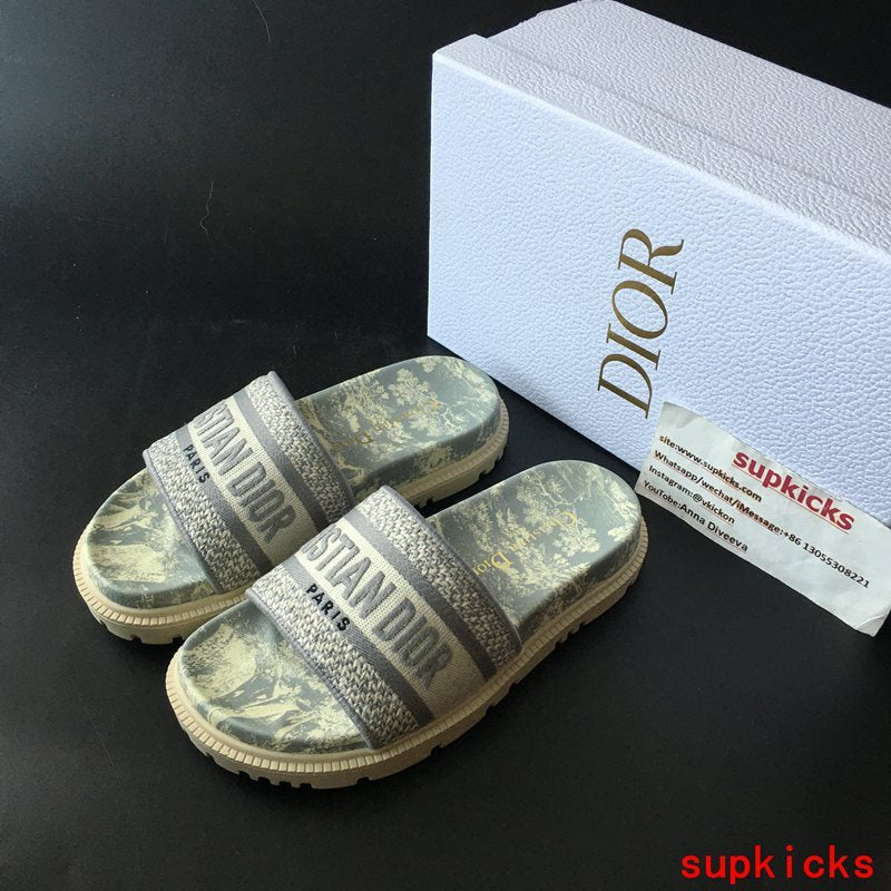 Dior Luxury Shoes
