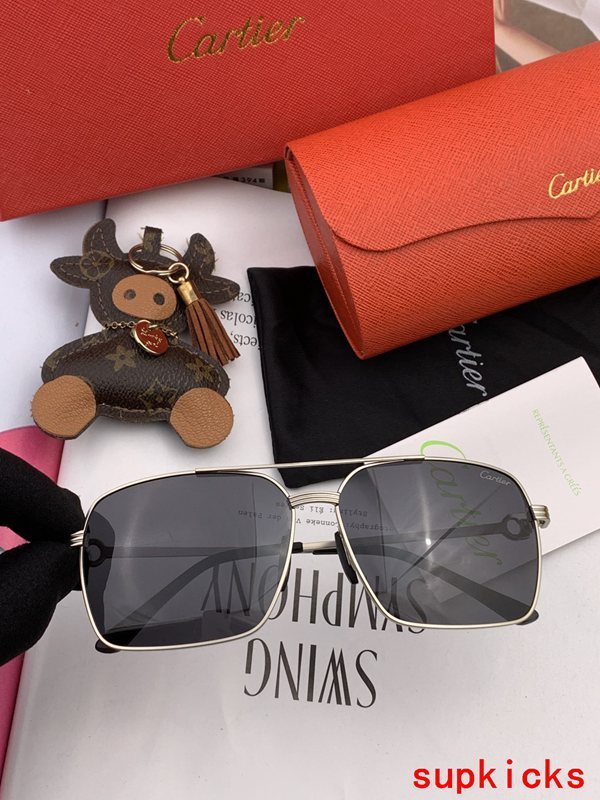 Cartier Luxury Sunglasses