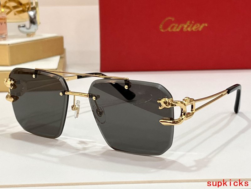 Cartier Luxury Sunglasses