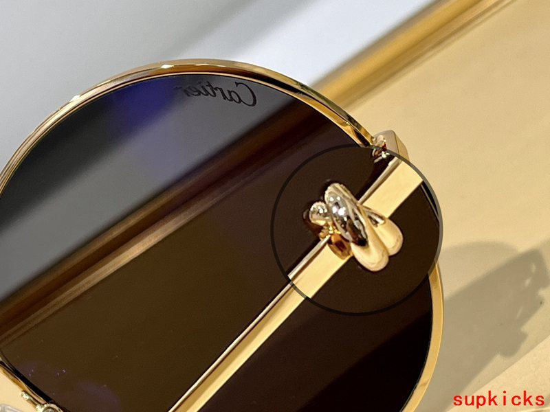Cartier Luxury Sunglasses
