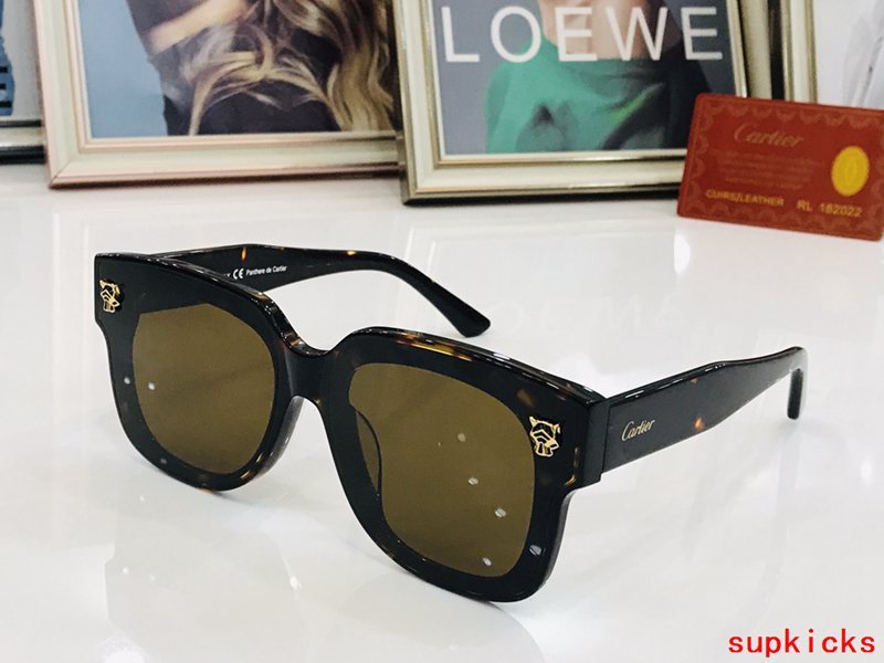 Cartier Luxury Sunglasses
