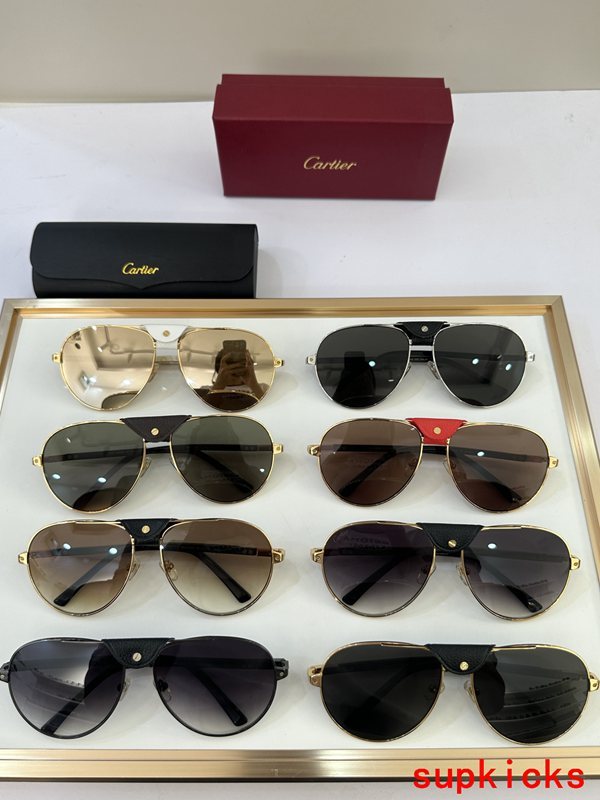 Cartier Luxury Sunglasses
