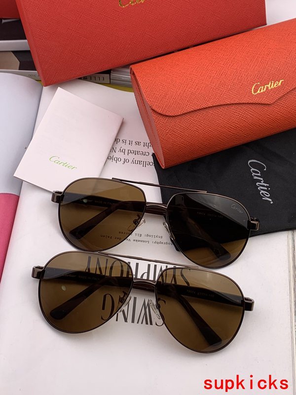 Cartier Luxury Sunglasses