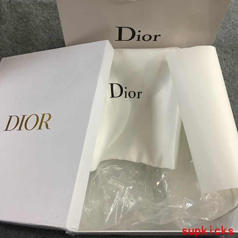 Dior Luxury Shoes