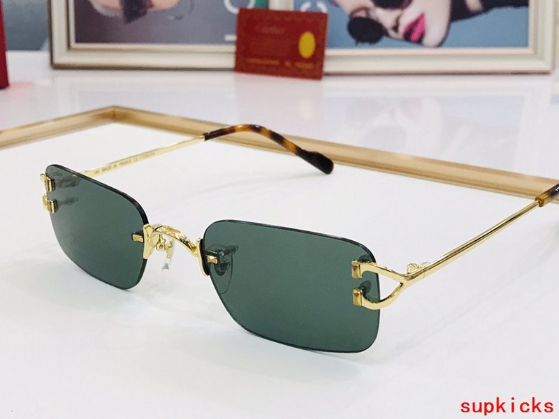 Cartier Luxury Sunglasses