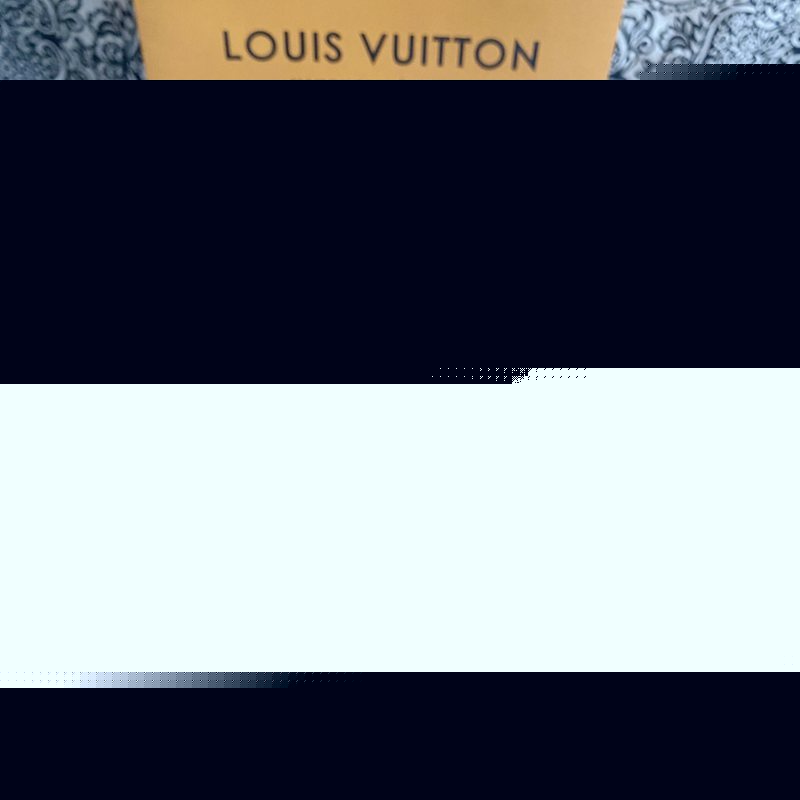 Louis Vuittion Luxury Sunglasses