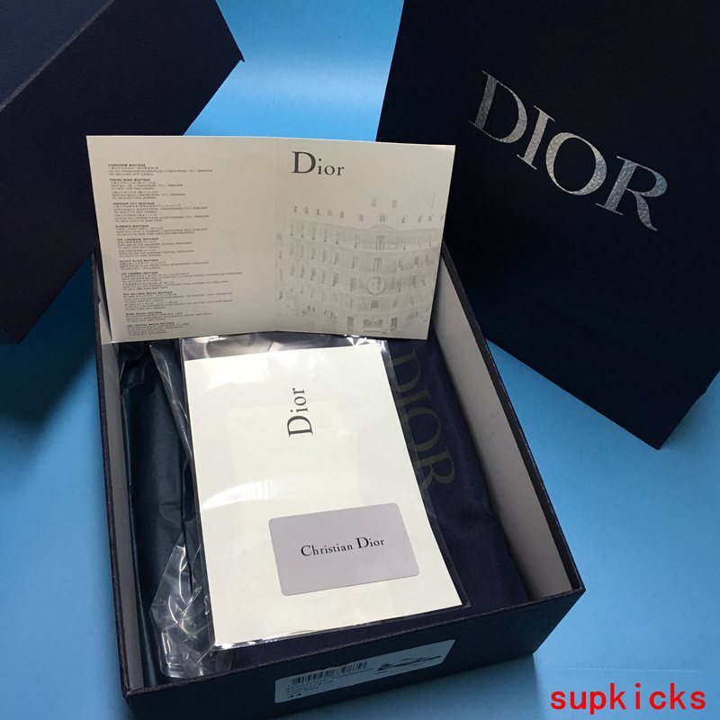 Dior Luxury Shoes