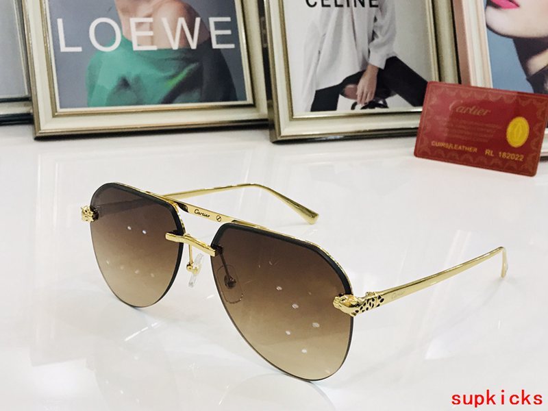 Cartier Luxury Sunglasses