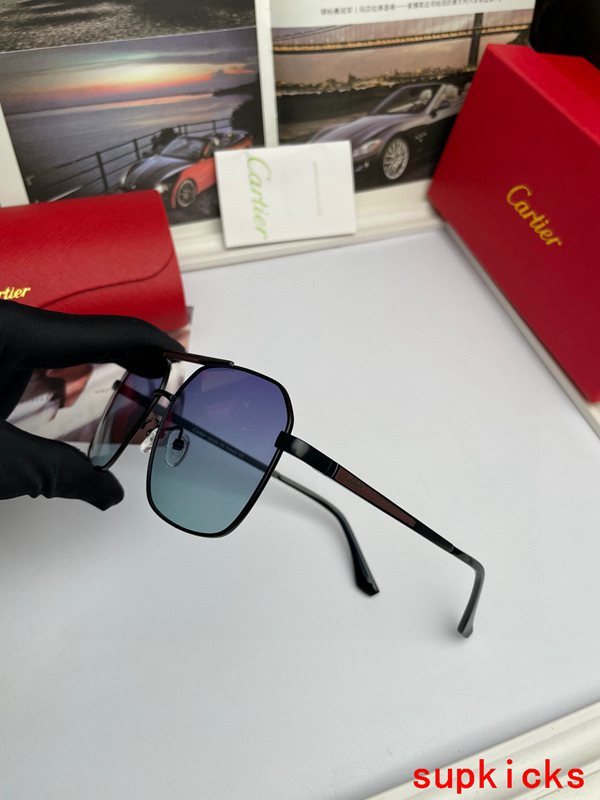 Cartier Luxury Sunglasses