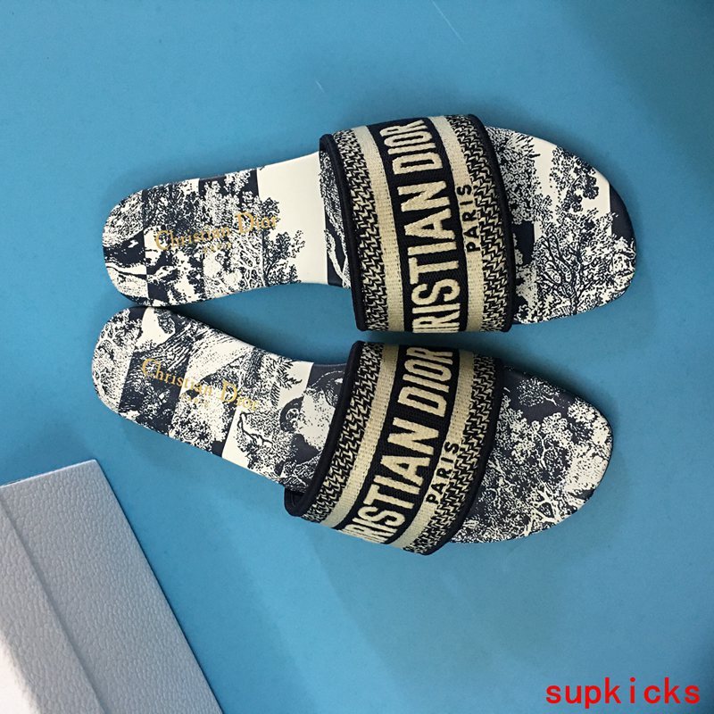 Dior Luxury Shoes