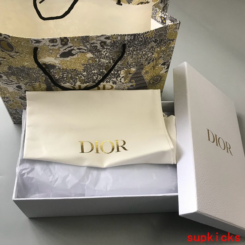 Dior Luxury Shoes