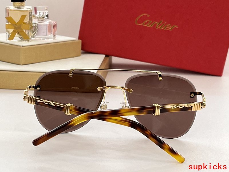 Cartier Luxury Sunglasses