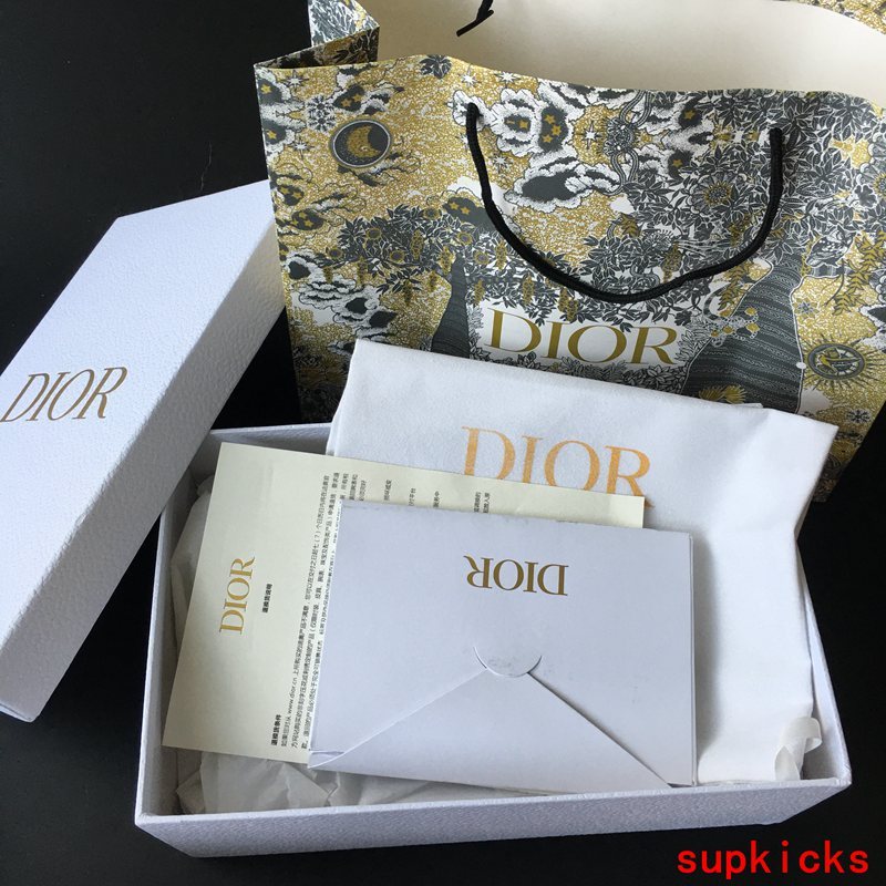 Dior Luxury Shoes